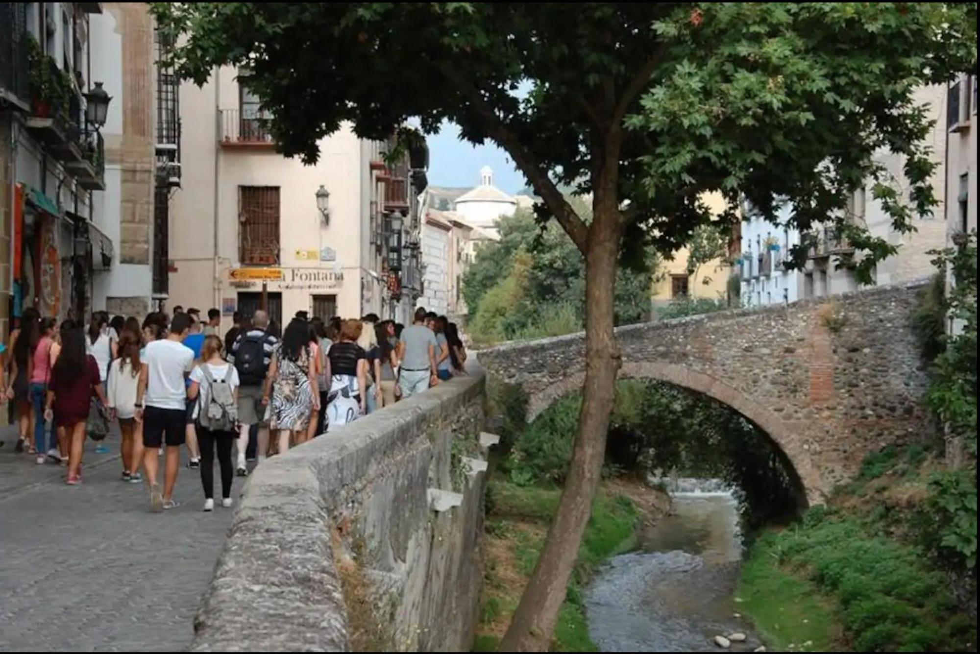 Apartamentos Centro Historico A Los Pies De La Alhambra 格拉纳达 外观 照片